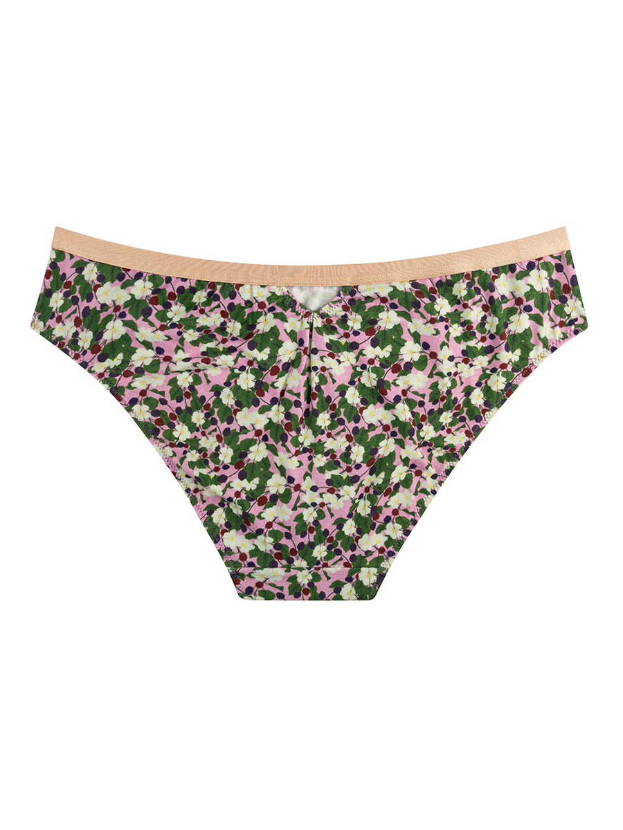Bikini Briefs | Organic Cotton | Forest Fruits - Image 4
