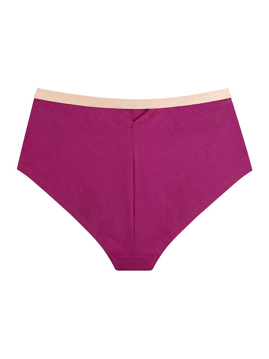 Hipster Briefs | Organic Cotton | Love Affair - Image 3